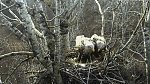 http://images39.fotosik.pl/101/96b64e26fc88ba10m.jpg