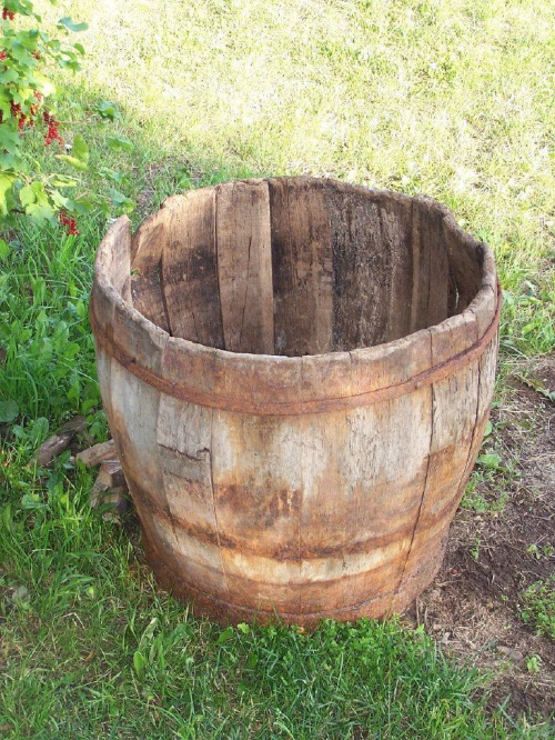 Obrazek