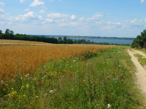 darmowy hosting obrazków