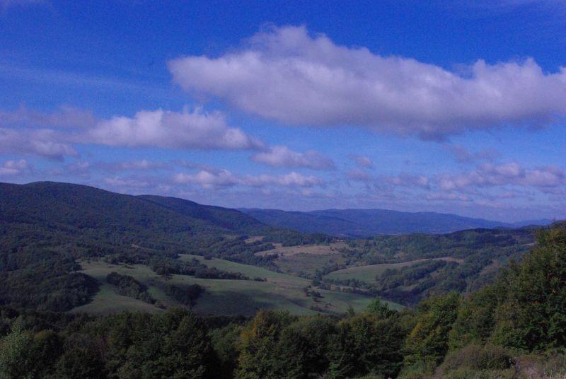 http://images39.fotosik.pl/252/ff5a30359205fbb3.jpg