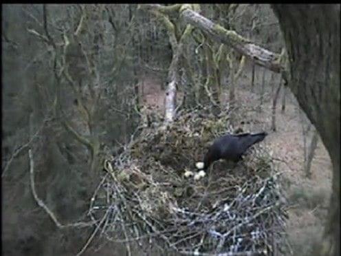 http://images39.fotosik.pl/284/c825efbf272008a0.jpg