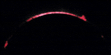 cdf831613a3db5be.gif