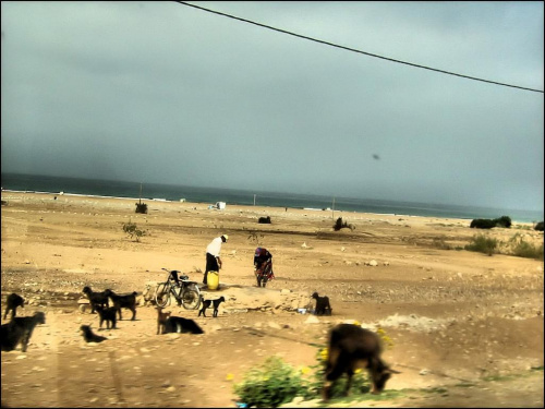 #maroko #ocean #agadir #essaouira #afryka #wakacje #słońce #plaża #krajobrazy #widoki #niebo #art #artystyczne #podróże #fotografia #marrakesz #marakesz #atlas #góry #berberowie #tażin #habibi