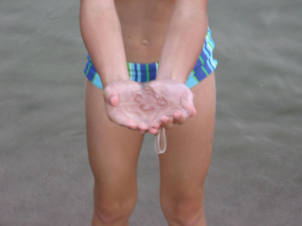 Meduza w rękach dziecka