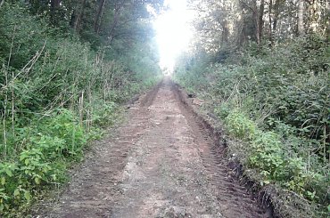 na szlaku Niechorze-Pogorzelica #Gryfice #Gryficka #Kolej #Lxd2 #Nadmorska #Niechorze #Pogorzelica #Remont #Rewitalizacja #Wąskotorowa