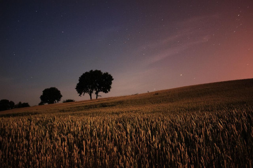 Lubelszyzna, gmina konopnica. Zdjęcie zrobione nocą w świtle księżyca. Po prawej ciepłe światła Lublina.