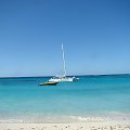 Anguilla-Prickly Pears