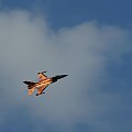 air show radom 2011