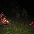Lipiny 2011