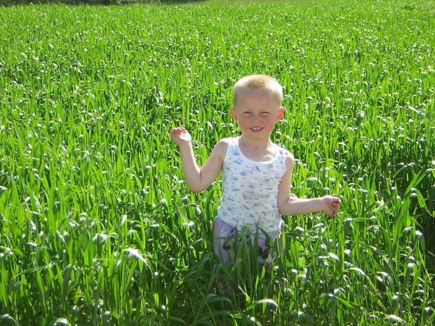 Mały rolnik #dzieci #Zboże #zieleń
