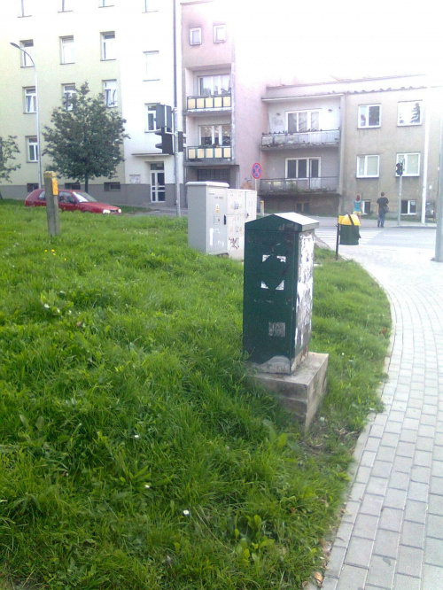 Zielony design Kielce