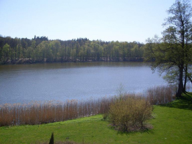 Jezioro Wojnowskie #wojnówko #wojnowo #wielkopolska