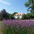 Stary pałac w Bad Muskau widok z ogrodu #BadMuskau #Niemcy #ogrody #ParkMużakowski