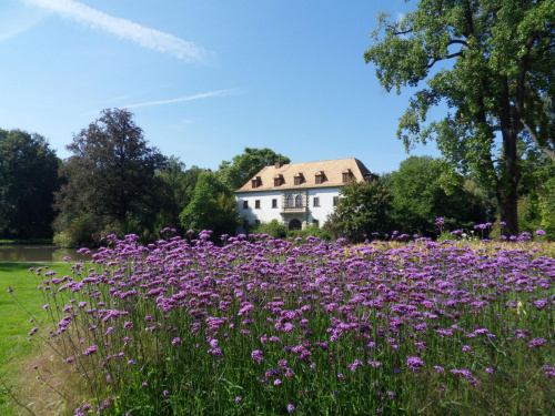 Stary pałac w Bad Muskau widok z ogrodu #BadMuskau #Niemcy #ogrody #ParkMużakowski