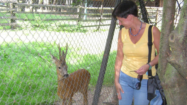 mini ZOO na terenie Caritasu w Myczkowcach