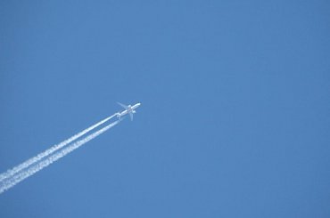 PZK #łąka #pzk #trawa #chwast #samolot