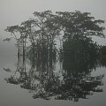 Wyprawa do Amazonii 2011