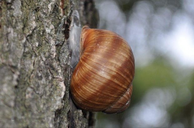 Mazury, jesien 2011