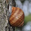 Mazury, jesien 2011