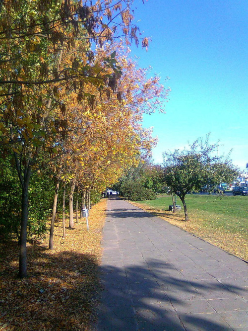 jesiennie (zdjęcie z telef.kom)