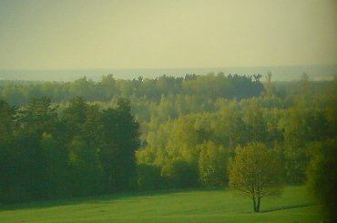 Dolina Pilicy oraz Tomaszów Mazowiecki widziane z Góry Sławno pod Opocznem. Widoczne są 3 kominy nieczynnych zakładów chem-włók. Wistom #LasySpalskie #TomaszówMazowiecki #DolinaPilicy #kominy