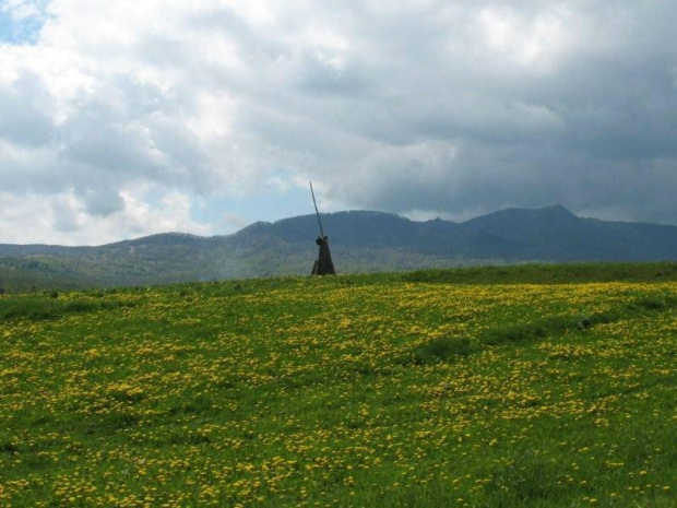 Rumunia 2011