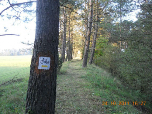 Wyjazd z lasu pod Jerzkowicami.