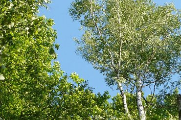 #Złototyja #Stacja #Skały