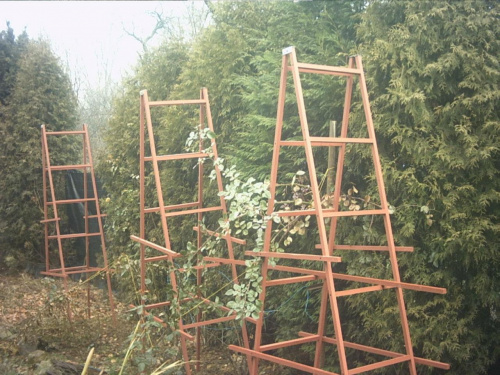 pergola1
