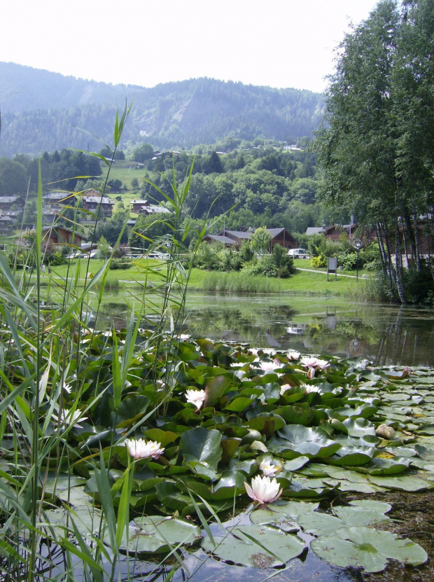 Piękne okolice Chamonix