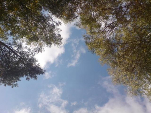 #będomin #bedomin #niebo #chmury #drzewa #widok