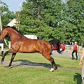 2009.05.21 Trening w Stodołach