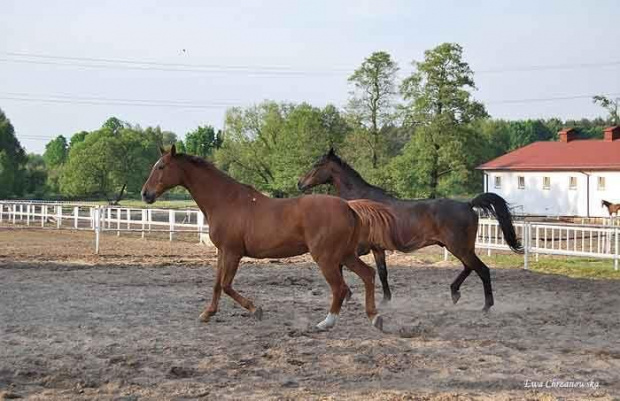 2009.05.21 Trening w Stodołach