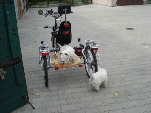 kolejne wersje ciągłe ulepszanie prototypu