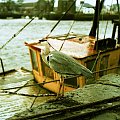 Old Port #Galway #Irlandia #Port #Ocean #xpro #CanonEos50e #lomo