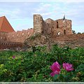 Ruiny zamku krzyżackiego w Toruniu