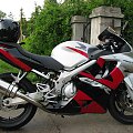 #CBR600F4i