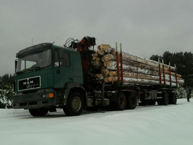Man f2000 26-403 do drewna