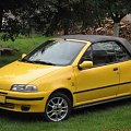 punto 94