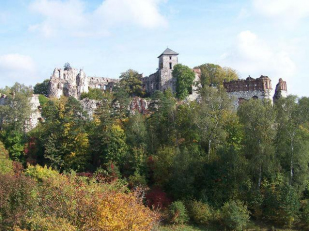 Zamek Tenczynek