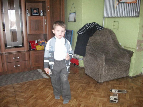 moje kwiaty po zimie #ogród