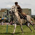 IX Piknik Kawaleryjski w Suwałkach #kawaleria #PiknikKawaleryjski #Suwałki #konie