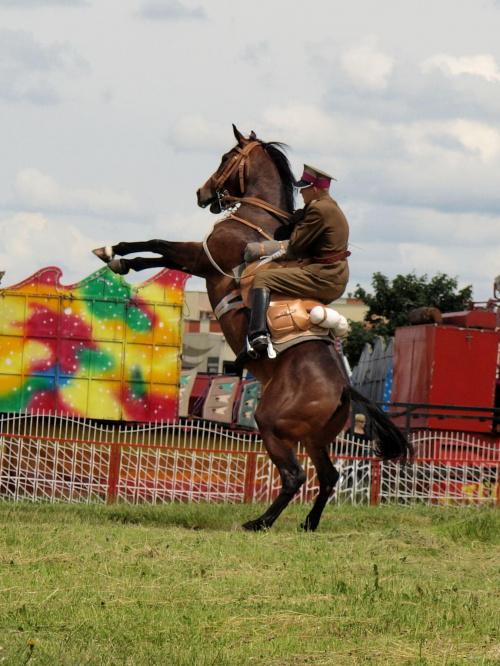 IX Piknik Kawaleryjski w Suwałkach #kawaleria #PiknikKawaleryjski #Suwałki #konie