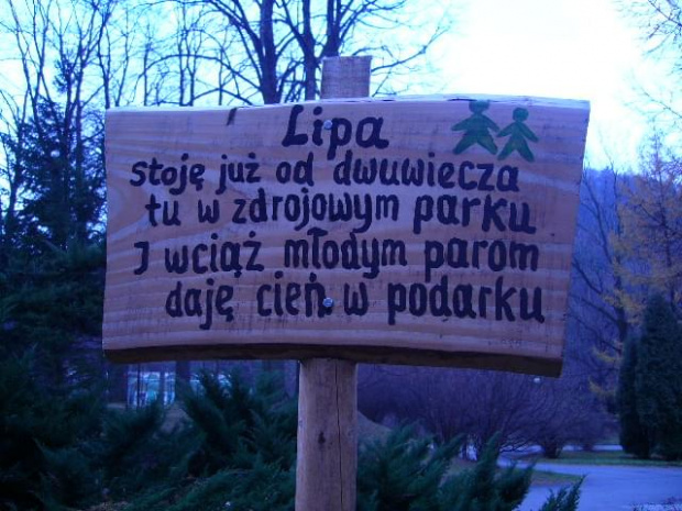 Ciekawe opisy drzew .Park w Rymanów zdrój