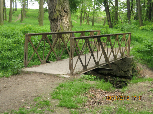 przyrodnicze liście i most park