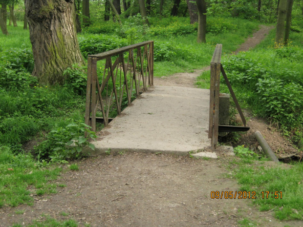 przyrodnicze liście i most park