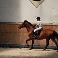 2009.07.04 Egzamin na odznak i- Stodoły trening