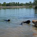 po wystawie w Bytomiu