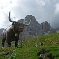 2009.06.29 DOLOMITY Col Rodella v2