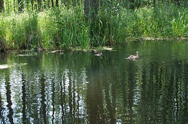 Urlop Pokośno 2012 #urlop